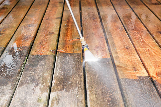 Best Fence Cleaning  in Taylor Creek, FL